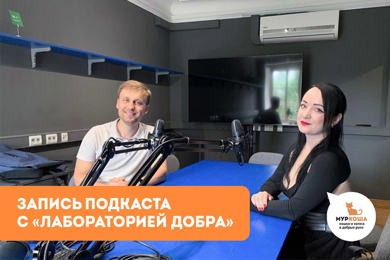 "Муркоша" в подкасте "Лаборатория добра"