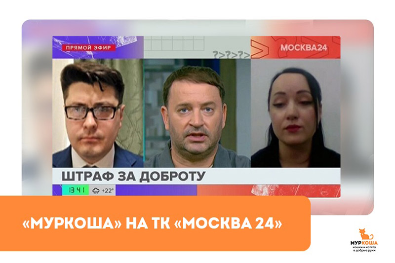 "Муркоша" в прямом эфире ТК "Москва24"