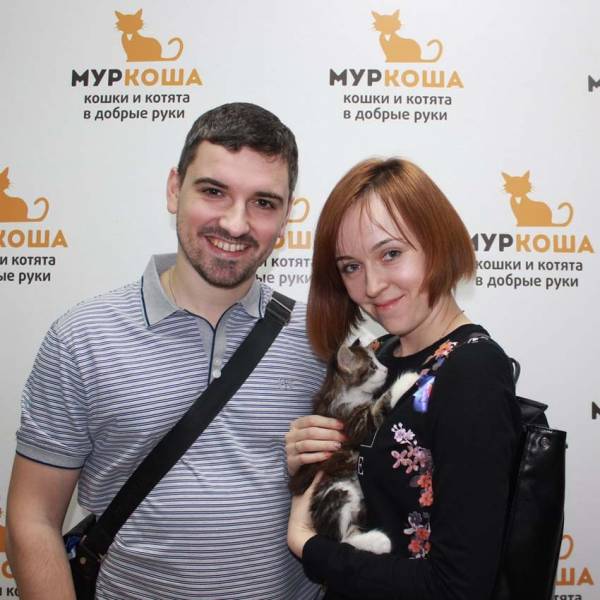 Итоги работы с 11 по 17 декабря 2017