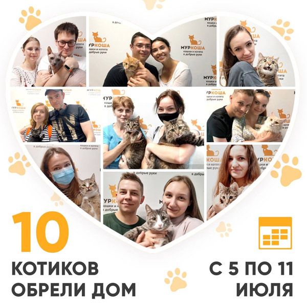 Итоги работы Adoption центра с 5 по 11 июля 2021г.