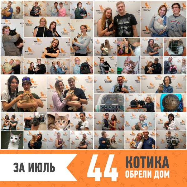 Итоги работы за июль 2019