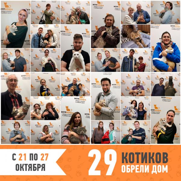 Итоги работы приюта с 21 по 27 октября