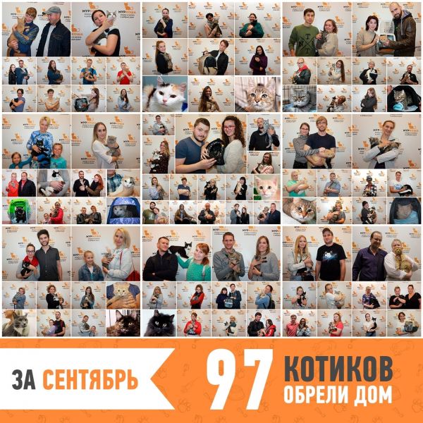 Итоги работы за сентябрь 2019