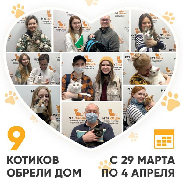 Итоги работы Adoption центра с 29 марта по 4 апреля 2021г.