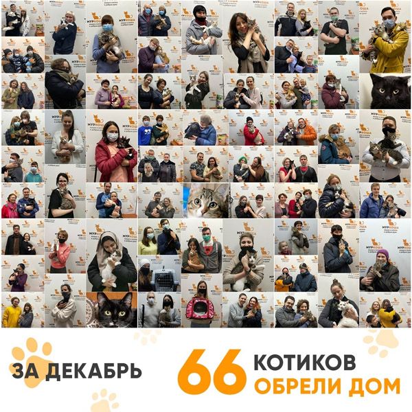 Итоги работы Adoption центра за декабрь 2020