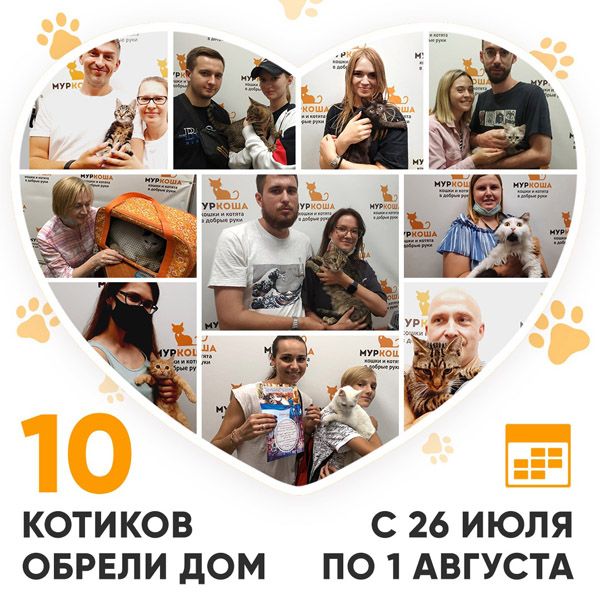 Итоги работы Adoption центра с 26 июля по 1 августа 2021г.