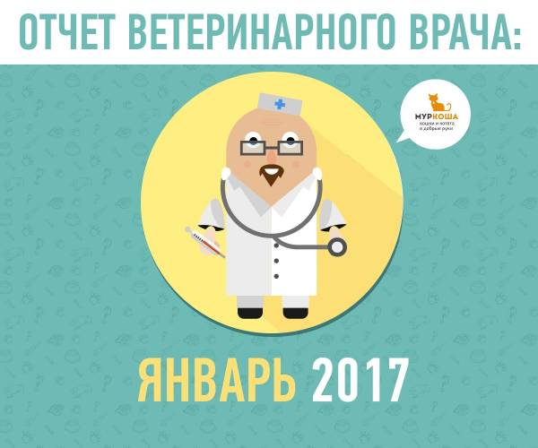 Отчет ветеринарного врача. Январь 2018