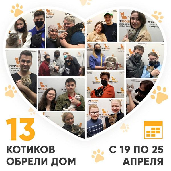 Итоги работы Adoption центра с 19 по 25 апреля 2021г.