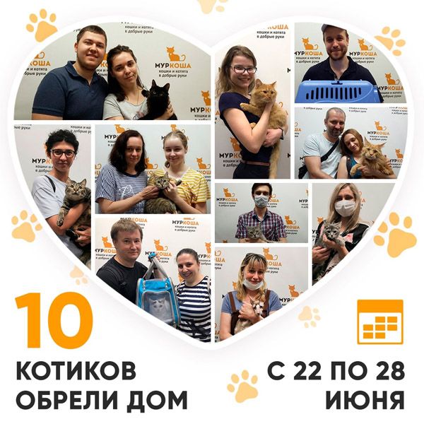Итоги работы Adoption центра с 22 по 28 июня