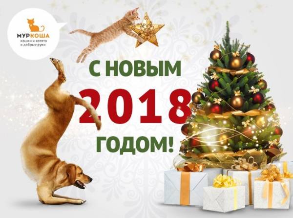 Итоги работы 2017 года