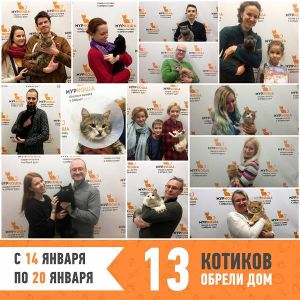 Итоги работы с 14 по 20 января