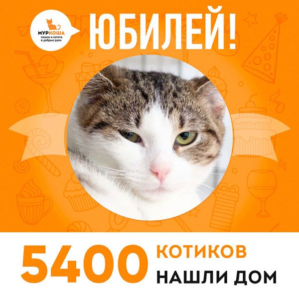 Кошечка Сауле стала 5400-ой выпускницей "Муркоши"!