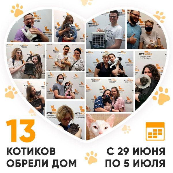 Итоги работы Adoption центра с 29 июня по 5 июля