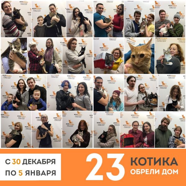 Итоги работы приюта с 30 декабря по 5 января