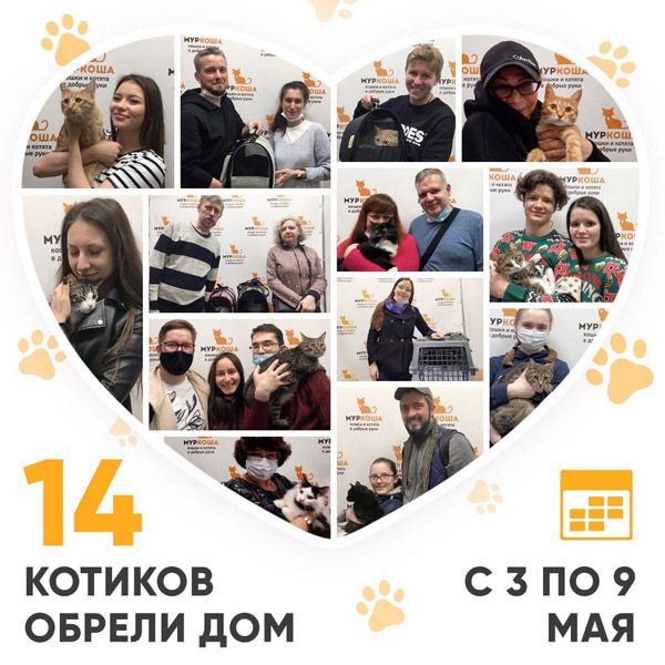 Итоги работы Adoption центра с 3 по 9 мая 2021г.