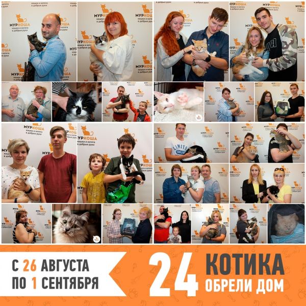 Итоги работы с 26 августа по 1 сентября