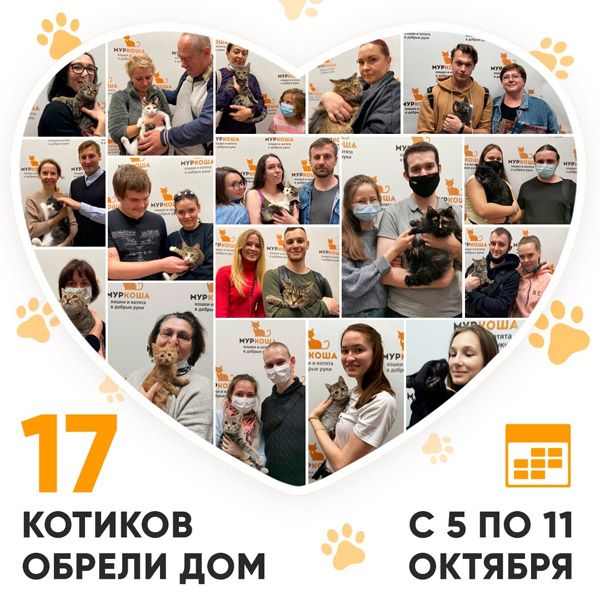 Итоги работы Adoption центра с 5 по 11 октября