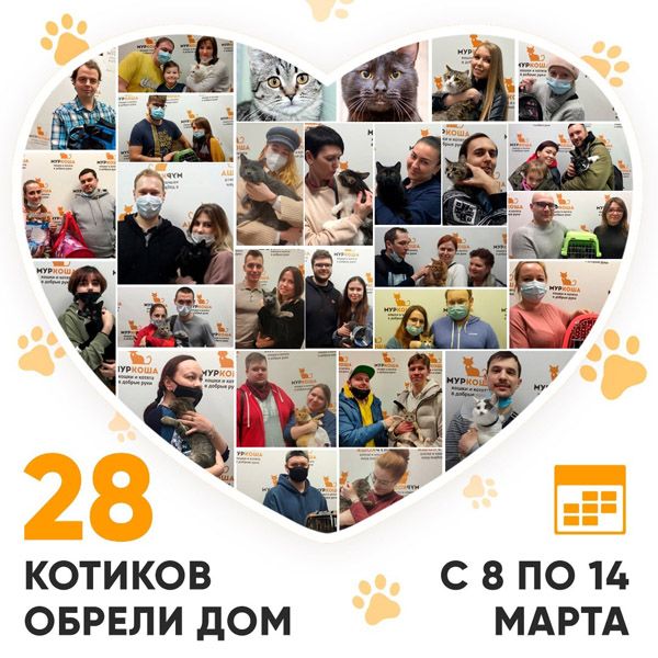 Итоги работы Adoption центра с 8 по 14 марта 2021г.