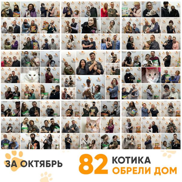 Итоги работы Adoption центра за октябрь 2020