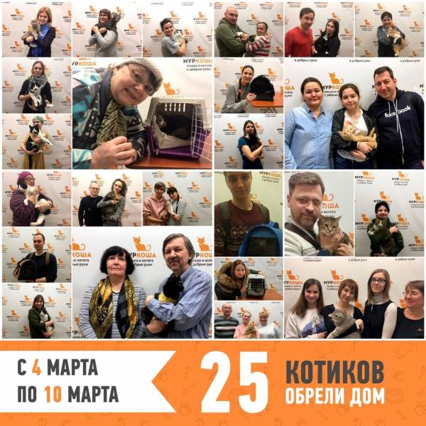 Итоги работы с 4 по 10 марта
