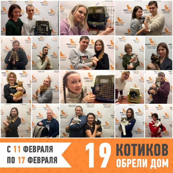 Итоги работы с 11 по 17 февраля