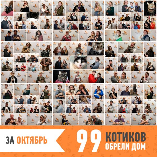 Итоги работы за октябрь 2019