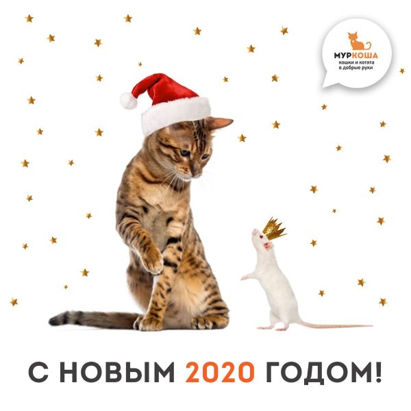 Итоги трудного, но очень результативного 2019 года