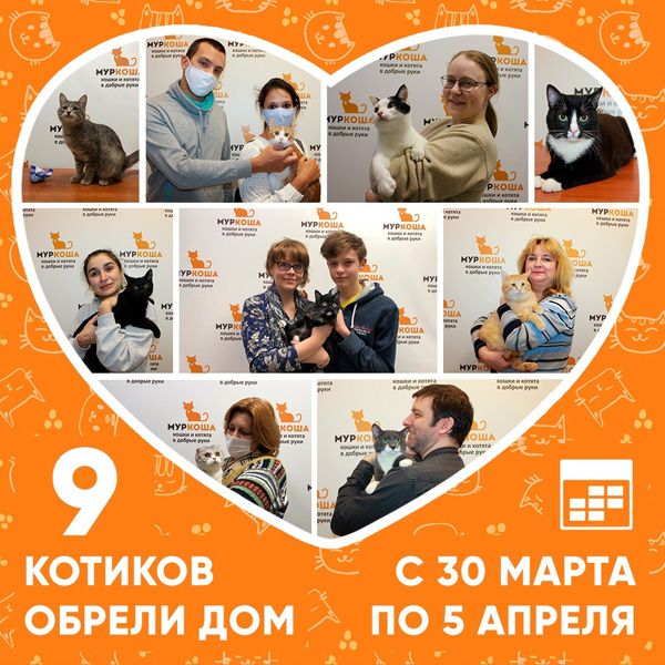 Итоги работы приюта с 30 марта по 5 апреля