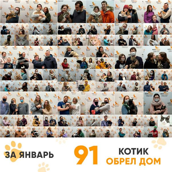 Итоги работы Adoption центра за январь за 2021г.