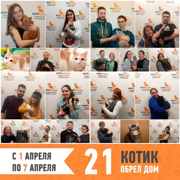 Итоги работы с 1 по 7 апреля