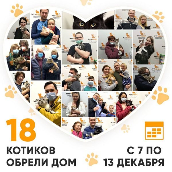 Итоги работы Adoption центра с 7 по 13 декабря