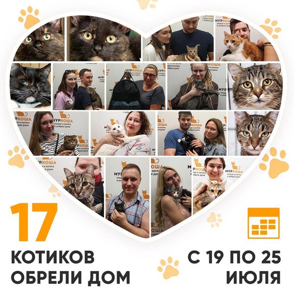 Итоги работы Adoption центра с 19 по 25 июля 2021г.