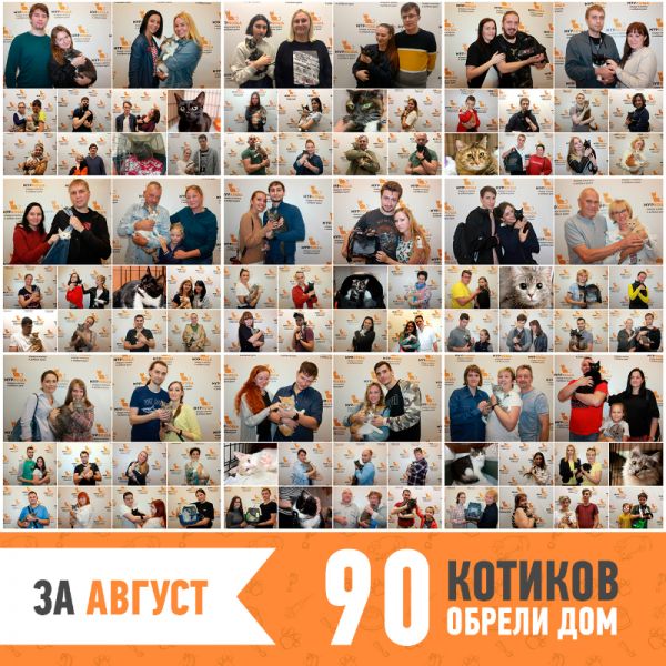 Итоги работы за август 2019