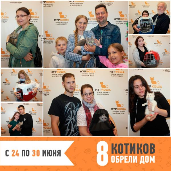 Итоги работы с 24 по 30 июня