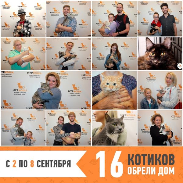Итоги работы с 2 по 8 сентября