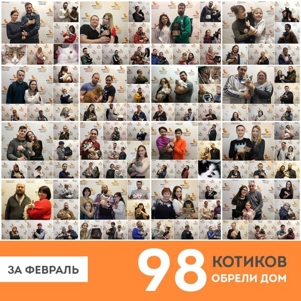 Итоги февраля 2020