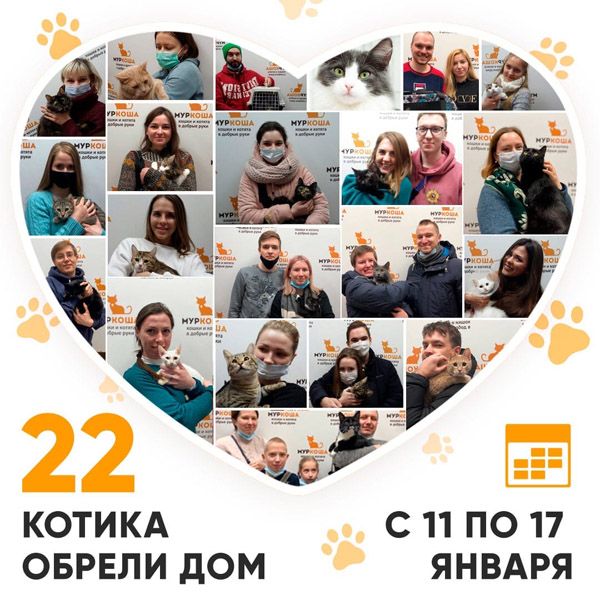 Итоги работы Adoption центра с 11 по 17 января 2021г.
