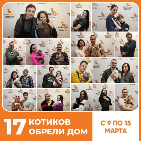 Итоги работы приюта с 9 по 15 марта