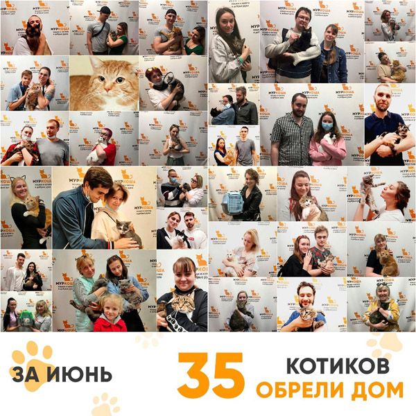 Итоги работы Adoption центра в июне 2021г.