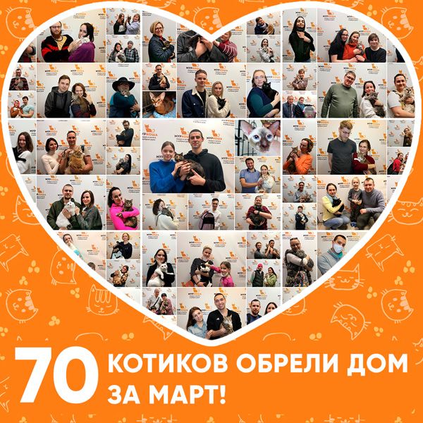 Итоги работы приюта за март 2020