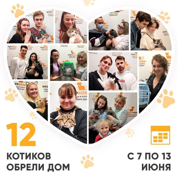 Итоги работы Adoption центра с 7 по 13 июня 2021г.