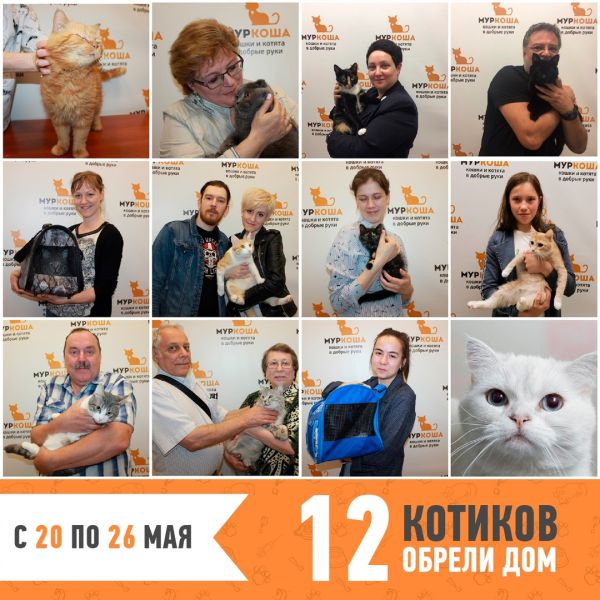 Итоги работы с 20 по 26 мая