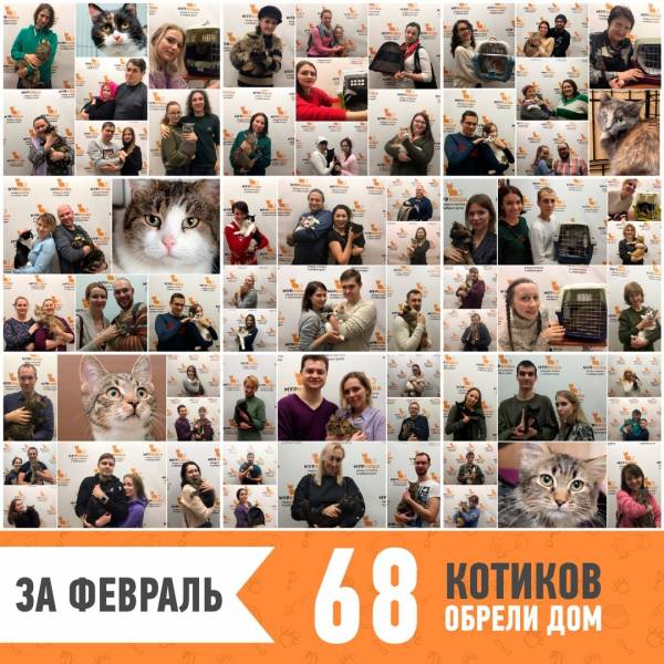 Итоги работы за февраль 2019