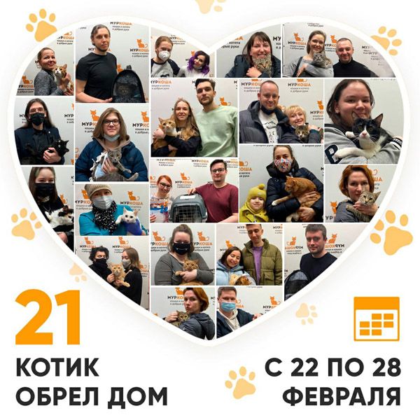 Итоги работы Adoption центра с 22 по 28 февраля 2021г.