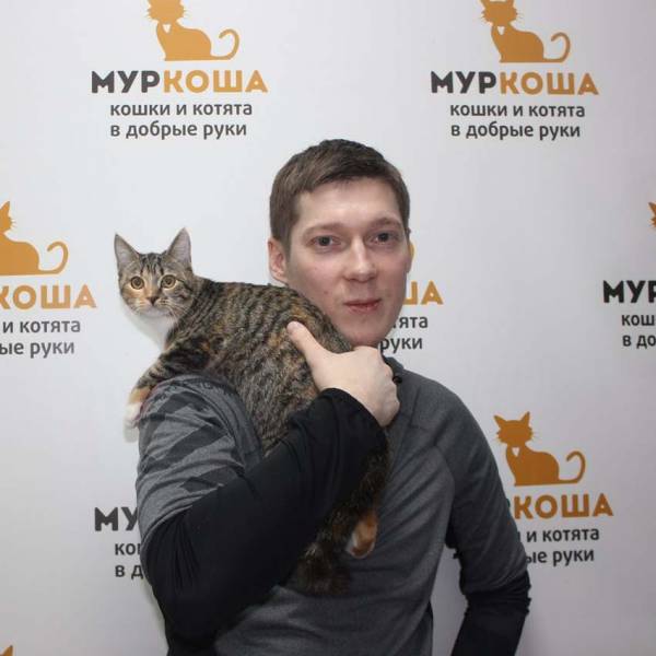 Итоги работы с 18 по 24 декабря 2017