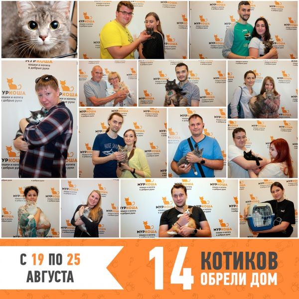 Итоги работы с 19 по 25 августа
