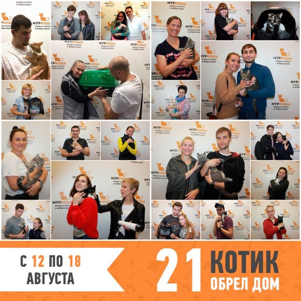 Итоги работы с 12 по 18 августа