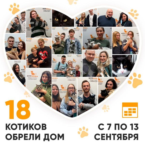 Итоги работы Adoption центра с 7 по 13 сентября