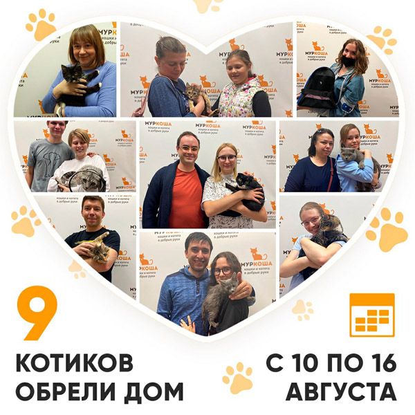 Итоги работы Adoption центра с 10 по 16 августа