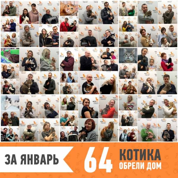 Итоги работы за январь 2019